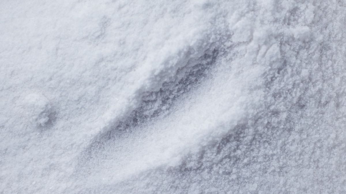 Close-up of fine white salt grains forming a soft drift